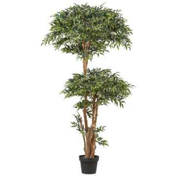 Albero artificiale Ruscus NEOSHO in vaso decorativo, tronchi naturali, 170cm Albero artificiale Ruscus NEOSHO in vaso decorativo, tronchi naturali, 170cm