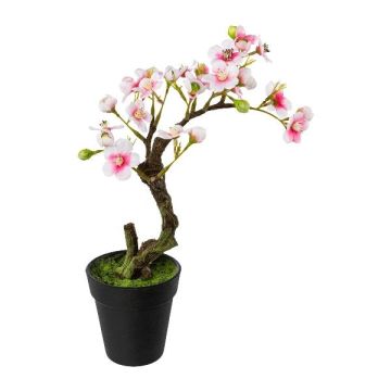 Albero artificiale bonsai di mandorlo OYOS in vaso decorativo, con fiori, rosa, 26 cm Albero artificiale bonsai di mandorlo OYOS in vaso decorativo, con fiori, rosa, 26 cm