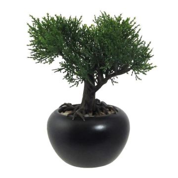 Albero artificiale bonsai cedro FALKE con radici, vaso in ceramica, 19 cm Albero artificiale bonsai cedro FALKE con radici, vaso in ceramica, 19 cm