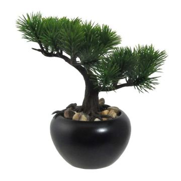 Albero artificiale bonsai pino FALKE con radici, vaso in ceramica, 19 cm Albero artificiale bonsai pino FALKE con radici, vaso in ceramica, 19 cm
