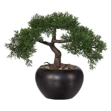 Albero artificiale bonsai cedro FALKE con radici, vaso in ceramica, 26cm