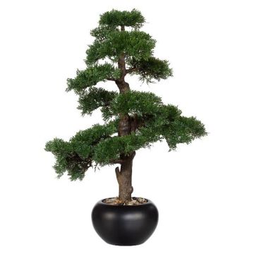 Albero artificiale bonsai cedro FALKE con radici, vaso in ceramica, 70 cm Albero artificiale bonsai cedro FALKE con radici, vaso in ceramica, 70 cm