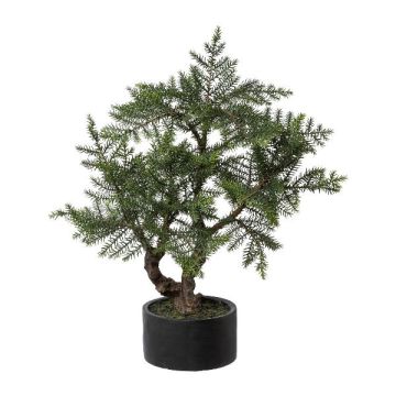 Albero artificiale bonsai abete da camera LONSA in vaso decorativo, 75 cm Albero artificiale bonsai abete da camera LONSA in vaso decorativo, 75 cm