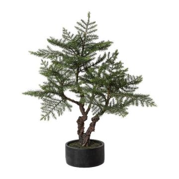 Albero artificiale bonsai abete da interno LONSA in vaso decorativo, 100 cm Albero artificiale bonsai abete da interno LONSA in vaso decorativo, 100 cm
