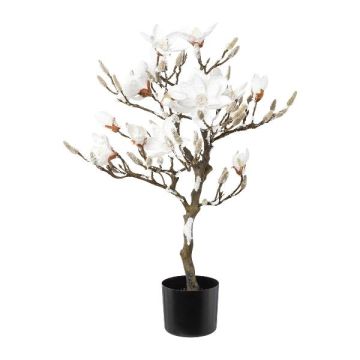 Albero artificiale magnolia DOLS, tronco artificiale, con fiori, innevato, 85 cm