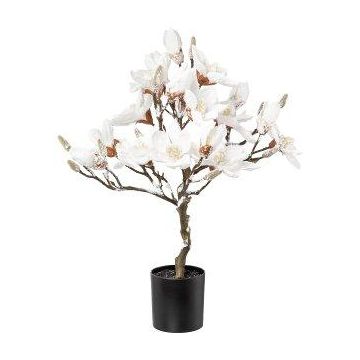 Albero artificiale magnolia DOLS, tronco artificiale, con fiori, innevato, 60 cm