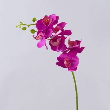 Ramo artificiale di orchidea phalaenopsis OPHELIA, fucsia, 80cm Ramo artificiale di orchidea phalaenopsis OPHELIA, fucsia, 80cm