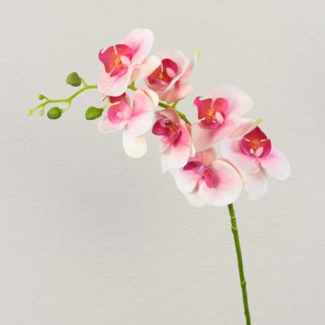 Ramo artificiale di orchidea phalaenopsis OPHELIA, rosa-fucsia, 80cm