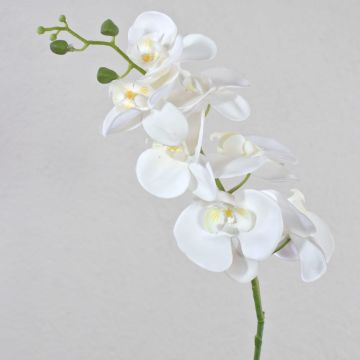 Ramo artificiale di orchidea phalaenopsis OPHELIA, bianco, 80cm