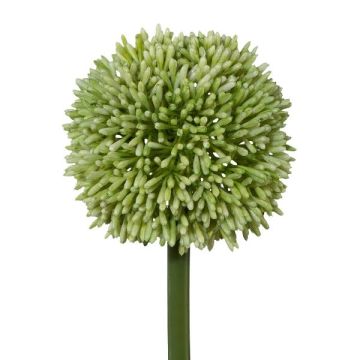 Fiore decorativo Allium MENKES, verde, 65 cm Fiore decorativo Allium MENKES, verde, 65 cm