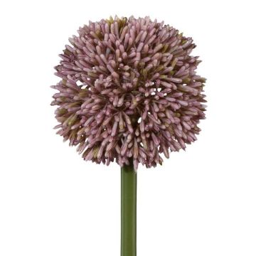 Fiore decorativo Allium MENKES, lilla, 65 cm Fiore decorativo Allium MENKES, lilla, 65 cm