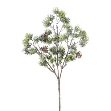 Ramo decorativo di cedro SNALTI con pigne, congelato, bianco-verde, 45cm