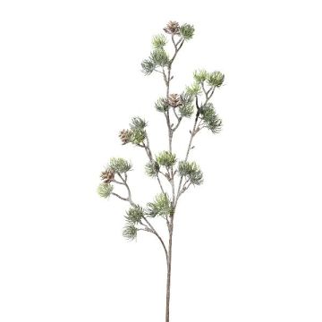 Ramo decorativo di cedro SNALTI con pigne, congelato, bianco-verde, 65cm