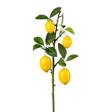Ramo decorativo di limone JALVEN con frutti, giallo, 70 cm