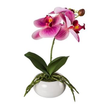 Fiore artificiale orchidea Phalaenopsis KASDA, vaso in ceramica, radici, rosa, 27 cm Fiore artificiale orchidea Phalaenopsis KASDA, vaso in ceramica, radici, rosa, 27 cm