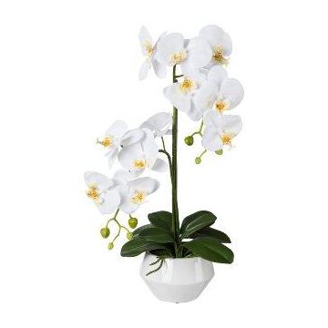 Fiore artificiale Phalaenopsis orchidea KASDA, vaso in ceramica, radici, bianco, 50 cm