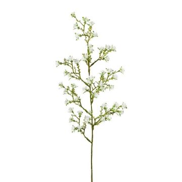 Ramo decorativo fiore stellato KLIRMO, bianco, 60 cm