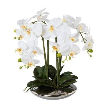 Orchidea Phalaenopsis in tessuto MANULO, vaso in ceramica argento, radici, bianco, 40 cm