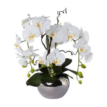 Decorazione orchidea salice contorto LULUDI, vaso in ceramica argento, radici bianche, 55 cm
