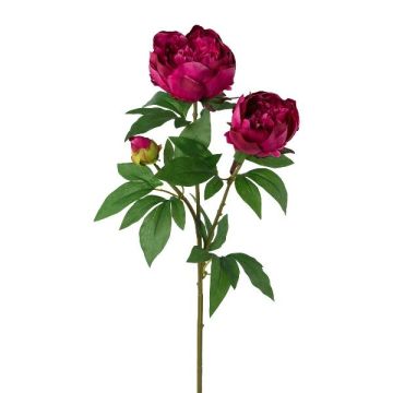 Ramo decorativo peonia SLORVE, cerise, 70 cm Ramo decorativo peonia SLORVE, cerise, 70 cm
