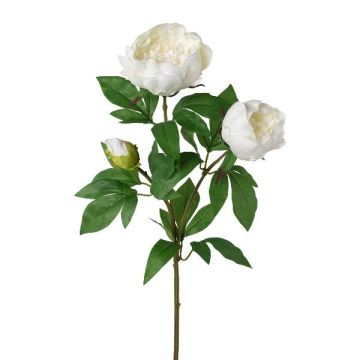 Ramo decorativo peonia SLORVE, bianco, 70 cm Ramo decorativo peonia SLORVE, bianco, 70 cm