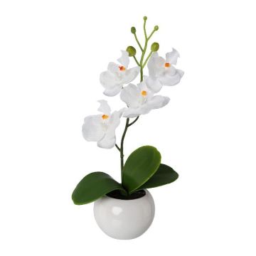 Orchidea artificiale Phalaenopsis WOPRIN in vaso di ceramica, bianco, 21 cm Orchidea artificiale Phalaenopsis WOPRIN in vaso di ceramica, bianco, 21 cm