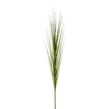 Ramo decorativo giunco palustre TERVO, verde, 115 cm