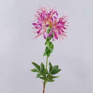 Fiore ragno artificiale HILDEGARD, viola, 85cm, Ø20cm