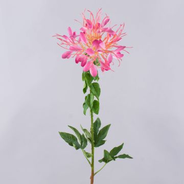 Fiore ragno artificiale HILDEGARD, rosa, 85cm, Ø20cm