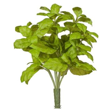 Erba decorativa basilico KRITIKA su bastoncino, verde, 28 cm Erba decorativa basilico KRITIKA su bastoncino, verde, 28 cm