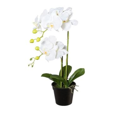 Fiore artificiale Phalaenopsis Orchidea WENJAN, vaso decorativo, radici, bianco, 55 cm