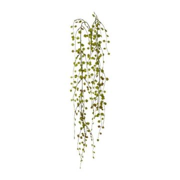 Decorazione appesa Mühlenbeckia ACARAY, bastoncino, verde-marrone, 85 cm