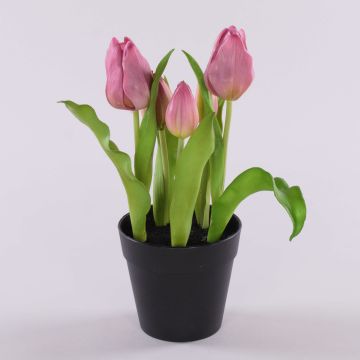 Tulipano artificiale CAITLYN in vaso decorativo, lilla-verde, 25cm, Ø2-6cm