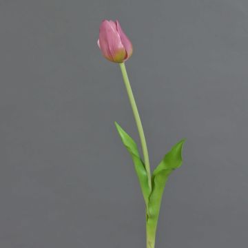 Tulipano artificiale LONA, lilla-verde, 45cm, Ø4cm