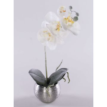 Orchidea phalaenopsis artificiale KAREN, vaso decorativo, ghiacciato, bianco, 35cm Orchidea phalaenopsis artificiale KAREN, vaso decorativo, ghiacciato, bianco, 35cm
