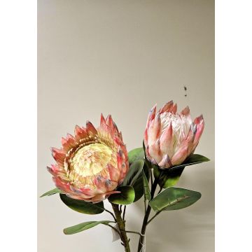 Ramo decorativo di protea reale TANIEKA, rosa-bianco, 70 cm
