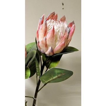 Ramo decorativo di protea reale TANIEKA, rosa-bianco, 70 cm Ramo decorativo di protea reale TANIEKA, rosa-bianco, 70 cm
