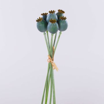 Capsule di papavero artificiali TSCHIKO in mazzo, verde menta, 30 cm Capsule di papavero artificiali TSCHIKO in mazzo, verde menta, 30 cm