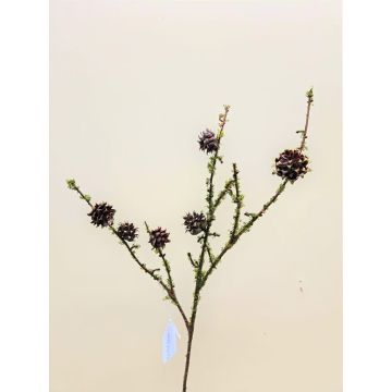 Ramo di pino decorativo TOMTE con muschio, pigne, verde, 75 cm