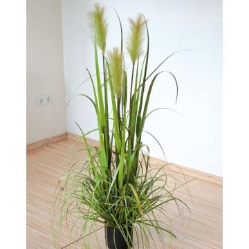Erba della pampa artificiale decorativa TALINDA con pannocchie, verde, 120 cm