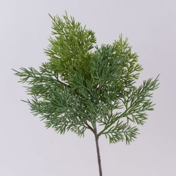 Ramo di cedro decorativo BALTHILDE, verde, 50cm Ramo di cedro decorativo BALTHILDE, verde, 50cm