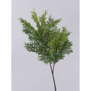 Ramo di cedro decorativo BALTHILDE, verde, 80cm Ramo di cedro decorativo BALTHILDE, verde, 80cm