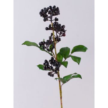 Ramo finto di bacche di sambuco CHATANGA con frutti, rosso bordeaux-nero, 60cm Ramo finto di bacche di sambuco CHATANGA con frutti, rosso bordeaux-nero, 60cm