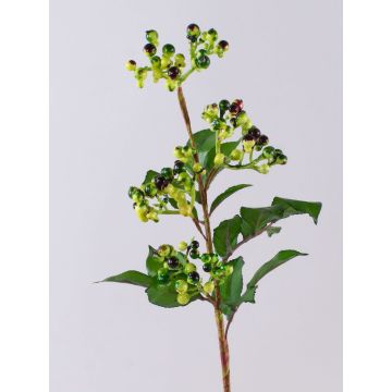 Ramo finto di bacche di sambuco CHATANGA con frutti, verde-rosso, 60cm Ramo finto di bacche di sambuco CHATANGA con frutti, verde-rosso, 60cm