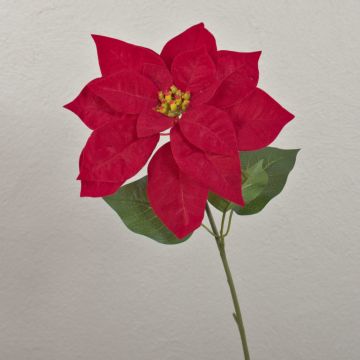 Poinsettia artificiale in velluto LIBASSE, rossa, 50 cm