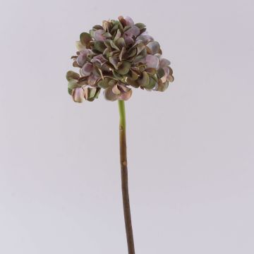 Fiore artificiale ortensia MANDISA, verde-rosa, 65 cm Fiore artificiale ortensia MANDISA, verde-rosa, 65 cm
