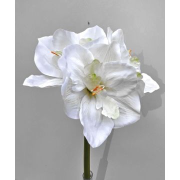 Fiore decorativo amarillide MARKUNO, bianco crema, 60 cm Fiore decorativo amarillide MARKUNO, bianco crema, 60 cm