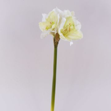 Fiore decorativo amarillide MARKUNO, bianco crema, 60 cm