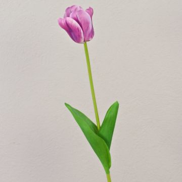 Fiore artificiale tulipano PJASSINA, viola-bianco, 65 cm