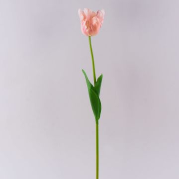 Tulipano artificiale PETSCHORA, albicocca-rosa, 65 cm